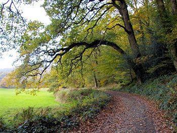 Hotel Bridge House Gunnislake Esterno foto
