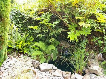 Hotel Bridge House Gunnislake Esterno foto
